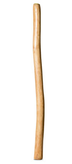 Medium Size Natural Finish Didgeridoo (TW1659)